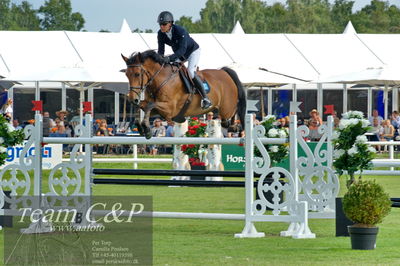 Showjumping
Kval till GP CSI3 Table A (238.2.1) 1.45m
Nøgleord: douglas lindelöv;chavira