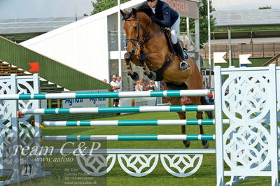 Showjumping
Kval till GP CSI3 Table A (238.2.1) 1.45m
Nøgleord: douglas lindelöv;chavira