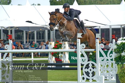 Showjumping
Kval till GP CSI3 Table A (238.2.1) 1.45m
Nøgleord: erik preben strand;indoletto