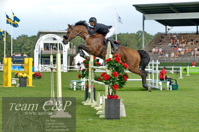 Showjumping
Kval till GP CSI3 Table A (238.2.1) 1.45m
Nøgleord: erik preben strand;indoletto