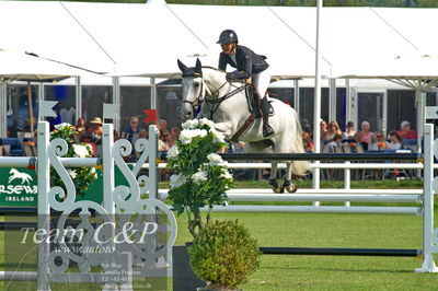 Showjumping
Kval till GP CSI3 Table A (238.2.1) 1.45m
Nøgleord: martine myhrer dyngeland;gambler