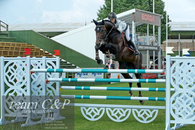 Showjumping
Kval till GP CSI3 Table A (238.2.1) 1.45m
Nøgleord: malin baryard-johnsson;el barone 111 z