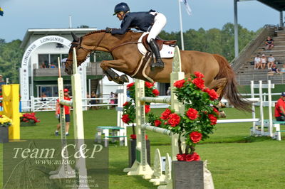 Showjumping
Kval till GP CSI3 Table A (238.2.1) 1.45m
Nøgleord: hedda wallin;carreto t z