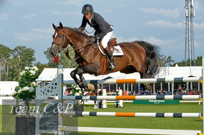 Showjumping
Kval till GP CSI3 Table A (238.2.1) 1.45m
Nøgleord: alexander zetterrman;triton hästak