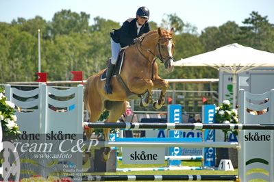 Showjumping
Folksam Open 5-åriga hästar - Final
Nøgleord: jörgen larsson;ludo dv