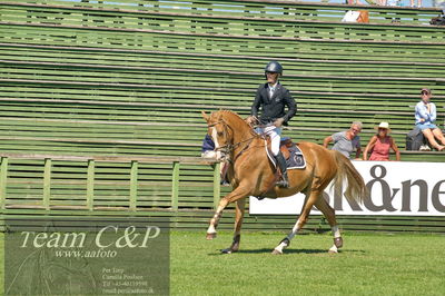 Showjumping
Folksam Open 5-åriga hästar - Final
Nøgleord: jörgen larsson;ludo dv