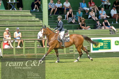 Showjumping
Folksam Open 5-åriga hästar - Final
Nøgleord: katrine højholt;syvhøjegårds footloose