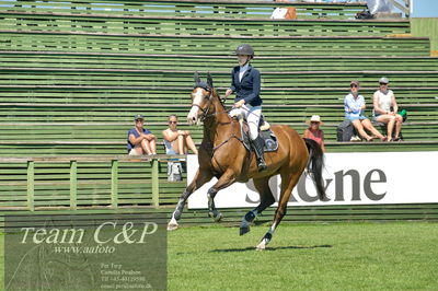 Showjumping
Folksam Open 5-åriga hästar - Final
Nøgleord: katrine højholt;syvhøjegårds footloose