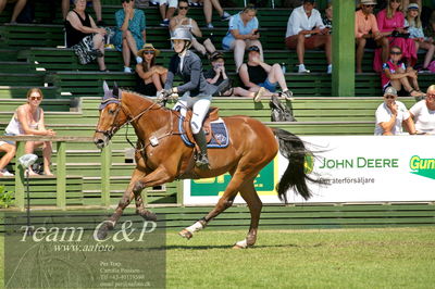 Showjumping
Folksam Open 5-åriga hästar - Final
Nøgleord: emma rundcrantz;for you dk z