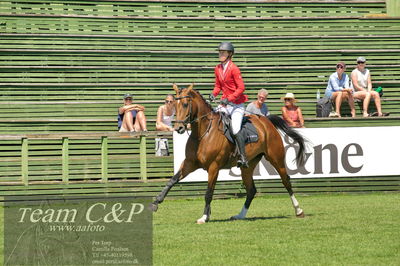 Showjumping
Folksam Open 5-åriga hästar - Final
Nøgleord: caroline persson;pamina
