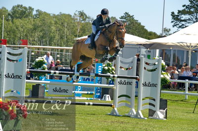 Showjumping
Folksam Open 5-åriga hästar - Final
Nøgleord: karen  møller rohde;evolution ask dwb