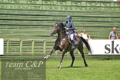 Showjumping
Folksam Open 5-åriga hästar - Final
Nøgleord: sandra kåregren;blue sunrise sk