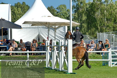 Showjumping
Derby CSI3 Table A (238.2.2) 1.50m
Nøgleord: leon thijssen;for president