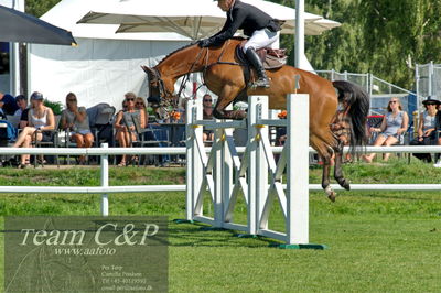 Showjumping
Derby CSI3 Table A (238.2.2) 1.50m
Nøgleord: leon thijssen;for president