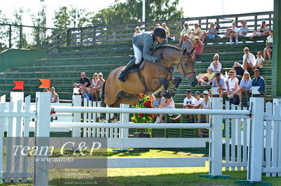 Showjumping
Derby CSI3 Table A (238.2.2) 1.50m
Nøgleord: andreas schou;quadrosson ask