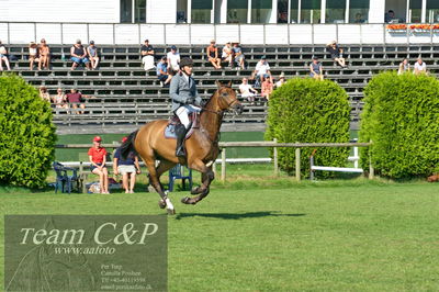 Showjumping
Derby CSI3 Table A (238.2.2) 1.50m
Nøgleord: andreas schou;quadrosson ask