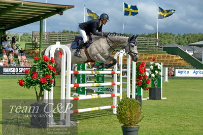 Showjumping
Horseware 7-årschampionat - Final
Nøgleord: jörgen larsson;look at cavett (swb)