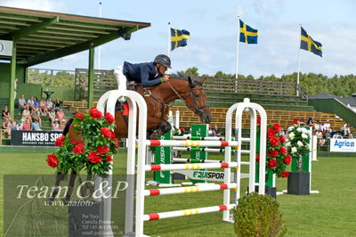 Showjumping
Horseware 7-årschampionat - Final
Nøgleord: niklas arvidsson;arielle race (23) (swb)