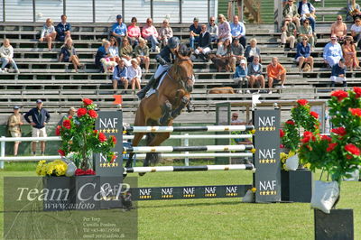 Showjumping
Horseware 7-årschampionat - Final
Nøgleord: robin ingvarsson;joe