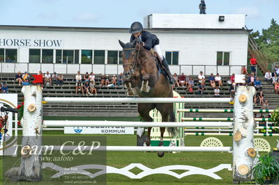 Showjumping
CSI3 Grand Prix Two Rounds - 1.50m
Nøgleord: karin martinsen;tailormade condara