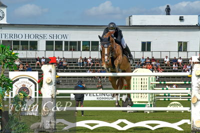 Showjumping
CSI3 Grand Prix Two Rounds - 1.50m
Nøgleord: guido jun klatte;qinghai