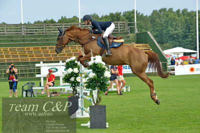 Showjumping
syvårs semifinale
Nøgleord: viktor edvinsson;eliwood du fresne