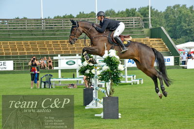 Showjumping
syvårs semifinale
Nøgleord: amanda ericsson;oklahoma odeveld