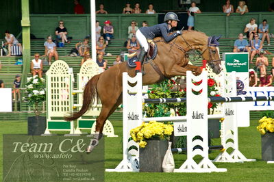 Showjumping
syvårs semifinale
Nøgleord: anna olsson;nevado de toluca (swb)