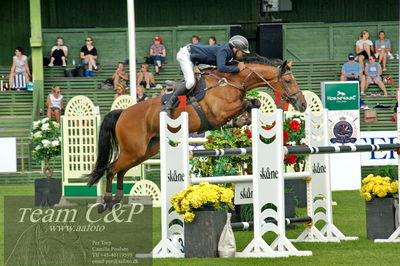 Showjumping
syvårs semifinale
Nøgleord: niklas arvidsson;arielle race (23) (swb)