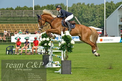 Showjumping
syvårs semifinale
Nøgleord: anna olsson;jdylo