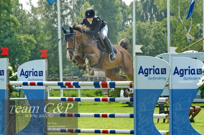 Showjumping
Torstensons Ungdoms Grand Prix - Final
Nøgleord: signe svensson;cool boy 0