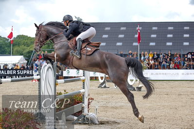 Absolut horses
2. kval og finale Agria DRF Mesterskab U18 - MA2 Springning Heste (140 cm)
Nøgleord: cecilie kjær;darcon II z