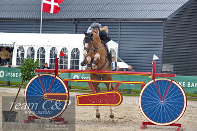 Absolut horses
2. kval og finale Agria DRF Mesterskab U18 - MA2 Springning Heste (140 cm)
Nøgleord: victoria sophia hjorth-madsen;catwalk v