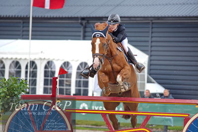 Absolut horses
2. kval og finale Agria DRF Mesterskab U18 - MA2 Springning Heste (140 cm)
Nøgleord: natasha tang kaspersen;contex 12