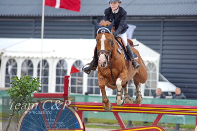 Absolut horses
2. kval og finale Agria DRF Mesterskab U18 - MA2 Springning Heste (140 cm)
Nøgleord: natasha tang kaspersen;contex 12