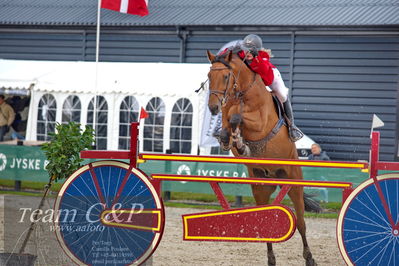 Absolut horses
2. kval og finale Agria DRF Mesterskab U18 - MA2 Springning Heste (140 cm)
Nøgleord: josefine sandgaard mørup;de semilly edition