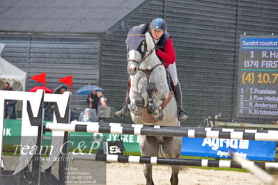 Absolut horses
2 kval og finale dm seniore 150cm og 160cm
Nøgleord: rikke haarstup kristensen;first  choice ht