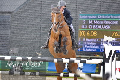 Absolut horses
2 kval og finale dm seniore 150cm og 160cm
Nøgleord: martin mose knudsen;ci beau ask