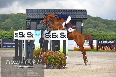 Absolut horses
2 kval og finale dm seniore 150cm og 160cm
Nøgleord: rikke andersen;lucky number slevin 3