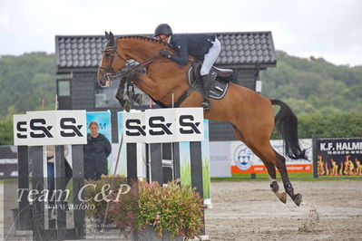 Absolut horses
2 kval og finale dm seniore 150cm og 160cm
Nøgleord: martin mose knudsen;ci beau ask