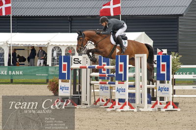 Absolut horses
ma 2 140cm
Nøgleord: søren møller rohde;alegra ask