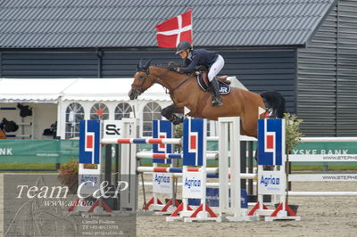 Absolut horses
ma 2 140cm
Nøgleord: rie rose lindegren roed;tuscia del poggiosecco