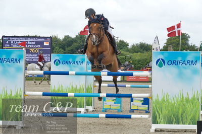 Absolut horses
ma 2 140cm
Nøgleord: rie rose lindegren roed;tuscia del poggiosecco