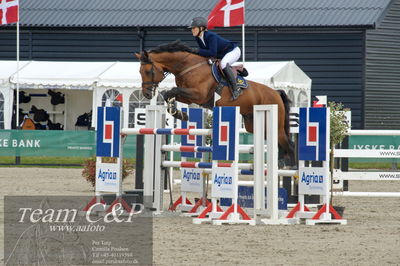 Absolut horses
ma 2 140cm
Nøgleord: ida mundberg hansen;mundberg's sandrino boy