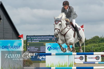 Absolut horses
ma 2 140cm
Nøgleord: theodor wildfang just linde;jaguar