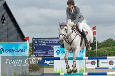 Absolut horses
ma 2 140cm
Nøgleord: theodor wildfang just linde;jaguar