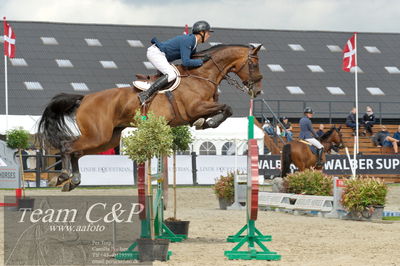 Absolut horses
ma 2 140cm
Nøgleord: ulrich gaarslev;gaby ask