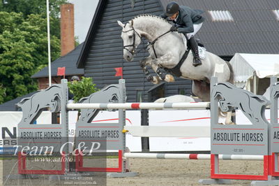 Absolut horses
ma 2 140cm
Nøgleord: søren møller rohde;action man ask z