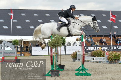 Absolut horses
ma 2 140cm
Nøgleord: hans  ley;kong's alli