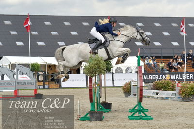 Absolut horses
ma 2 140cm
